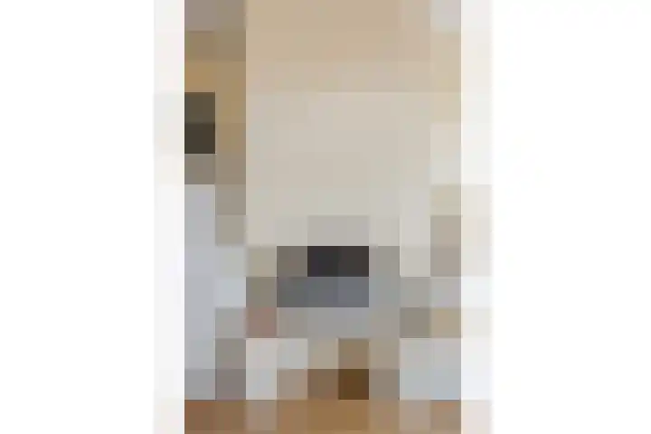 Cornelis de Houtmanplantsoen 8 Voorschoten thumbnail 10