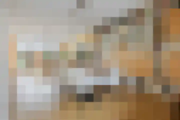 Cornelis de Houtmanplantsoen 8 Voorschoten thumbnail 11