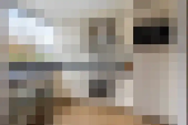 Cornelis de Houtmanplantsoen 8 Voorschoten thumbnail 13
