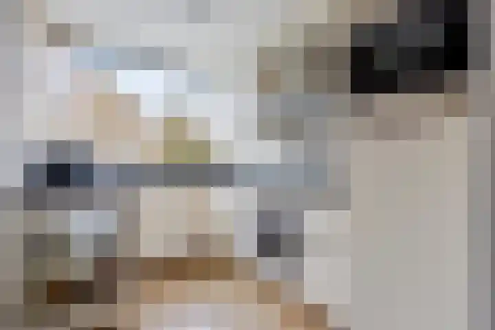 Cornelis de Houtmanplantsoen 8 Voorschoten thumbnail 14