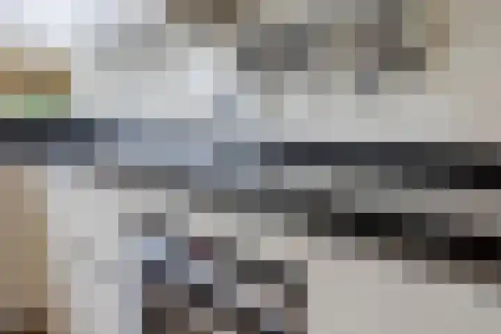 Cornelis de Houtmanplantsoen 8 Voorschoten thumbnail 15