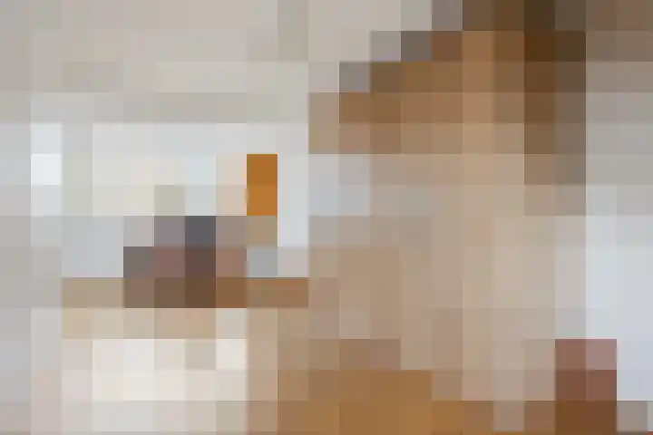 Cornelis de Houtmanplantsoen 8 Voorschoten thumbnail 26