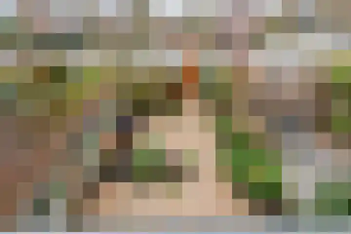 Cornelis de Houtmanplantsoen 8 Voorschoten thumbnail 29