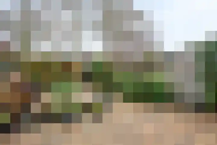 Cornelis de Houtmanplantsoen 8 Voorschoten thumbnail 30