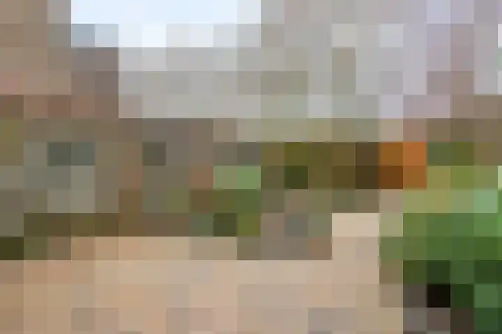 Cornelis de Houtmanplantsoen 8 Voorschoten thumbnail 31