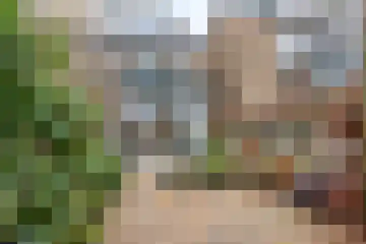 Cornelis de Houtmanplantsoen 8 Voorschoten thumbnail 32