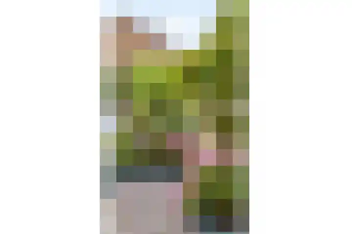 Cornelis de Houtmanplantsoen 8 Voorschoten thumbnail 34