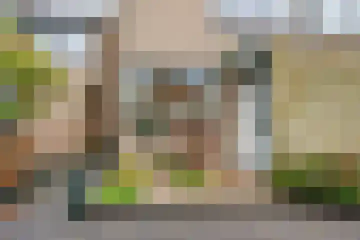 Cornelis de Houtmanplantsoen 8 Voorschoten thumbnail 4