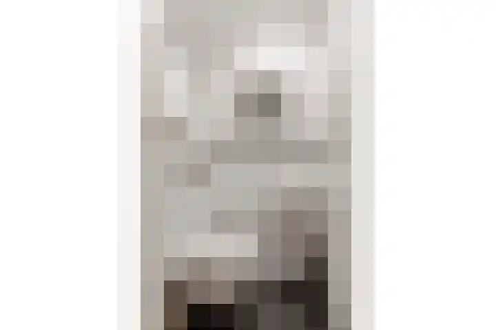 Cornelis de Houtmanplantsoen 8 Voorschoten thumbnail 6