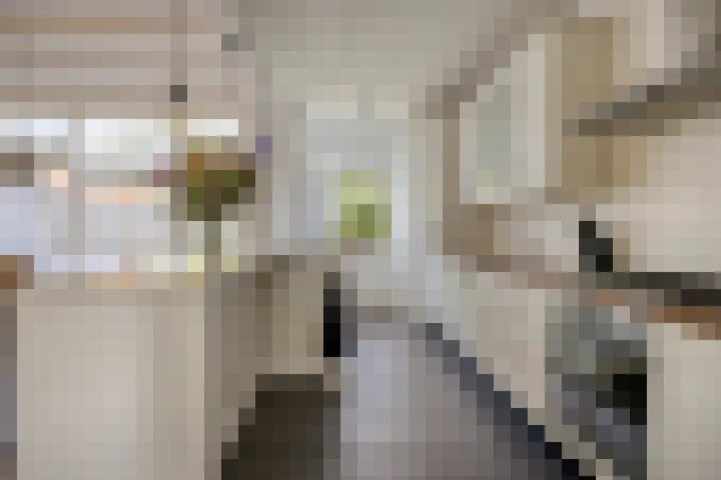 Cornelis de Houtmanstraat 11 Best thumbnail 16