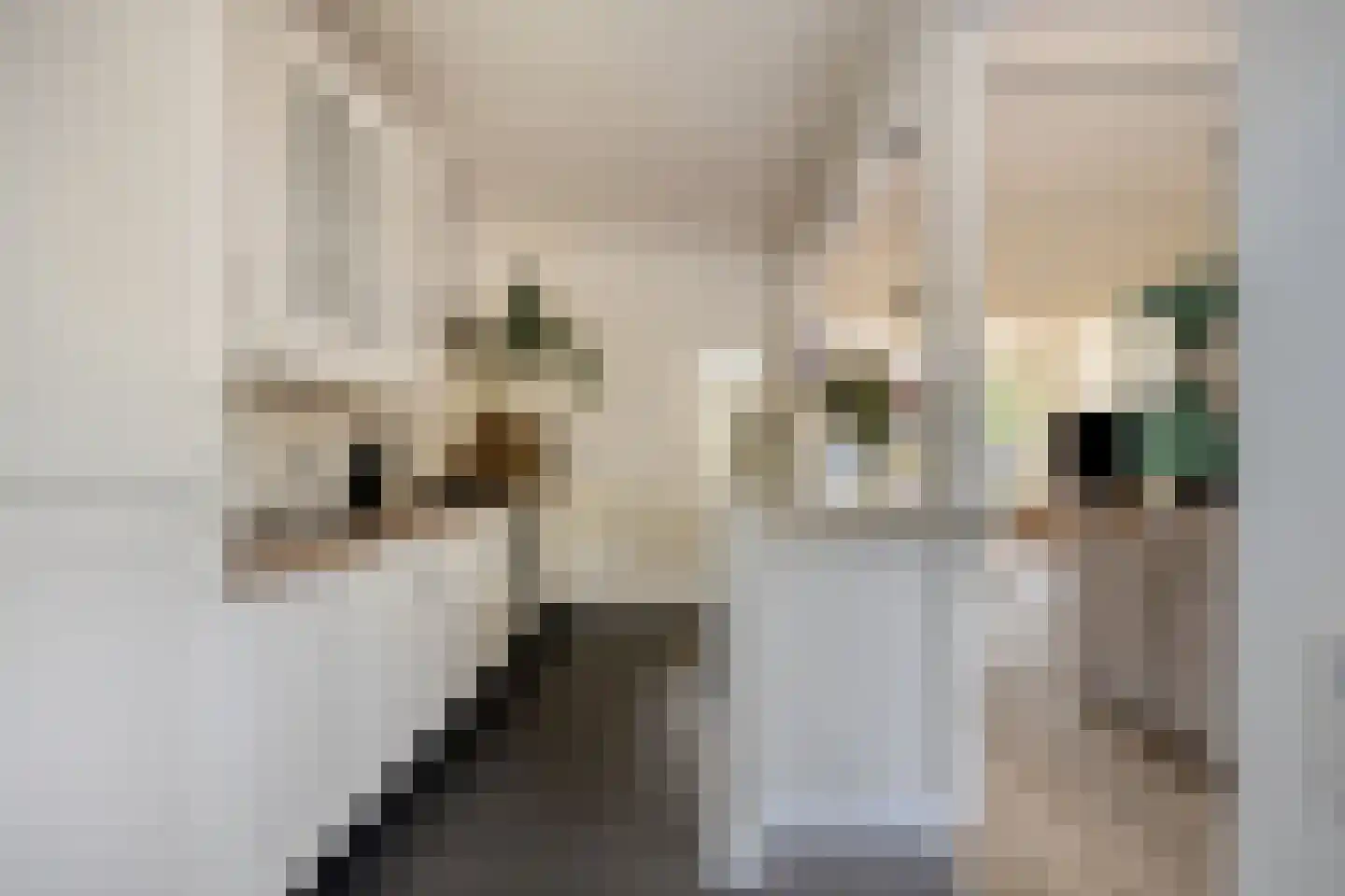 Cornelis de Houtmanstraat 11 Best thumbnail 19