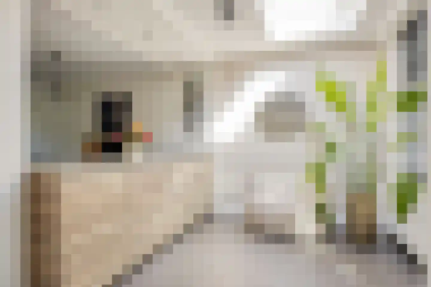 Cornelis de Houtmanstraat 16 Best thumbnail 23