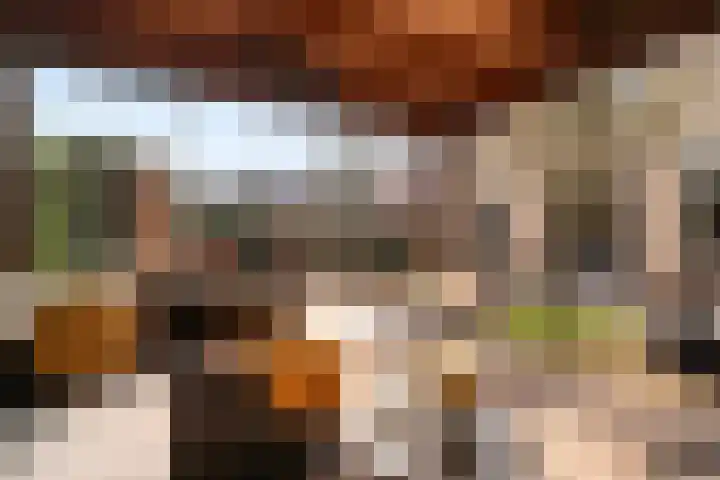 Cornelis de Mooystraat 42 Barendrecht thumbnail 34