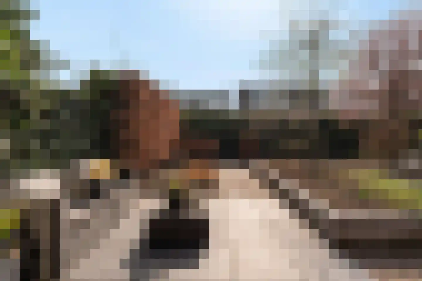 Cornelis de Mooystraat 42 Barendrecht thumbnail 35