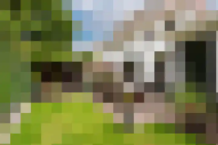 Cornelis De Ruijterhof 8 Baarn thumbnail 24