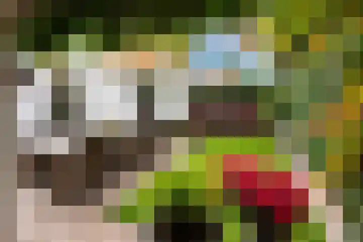 Cornelis De Ruijterhof 8 Baarn thumbnail 25
