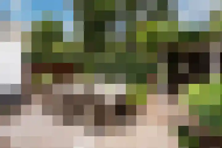 Cornelis De Ruijterhof 8 Baarn thumbnail 26