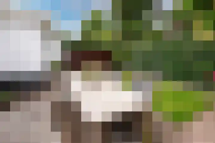 Cornelis De Ruijterhof 8 Baarn thumbnail 27