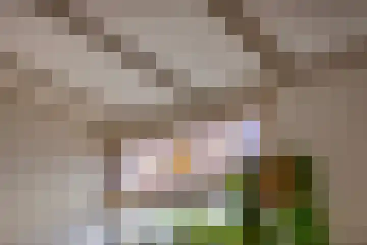 Cornelis de Vriendtstraat 10 Tilburg thumbnail 10