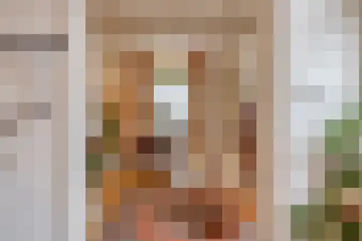 Cornelis de Vriendtstraat 10 Tilburg thumbnail 11