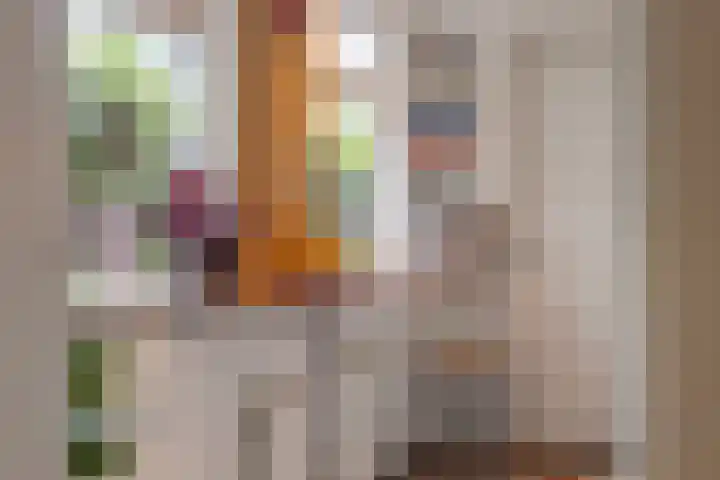 Cornelis de Vriendtstraat 10 Tilburg thumbnail 14