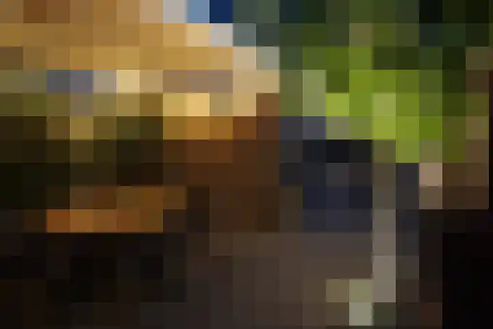 Cornelis de Vriendtstraat 10 Tilburg thumbnail 33