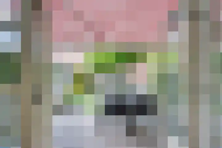 Cornelis de Vriendtstraat 14 Eindhoven thumbnail 10