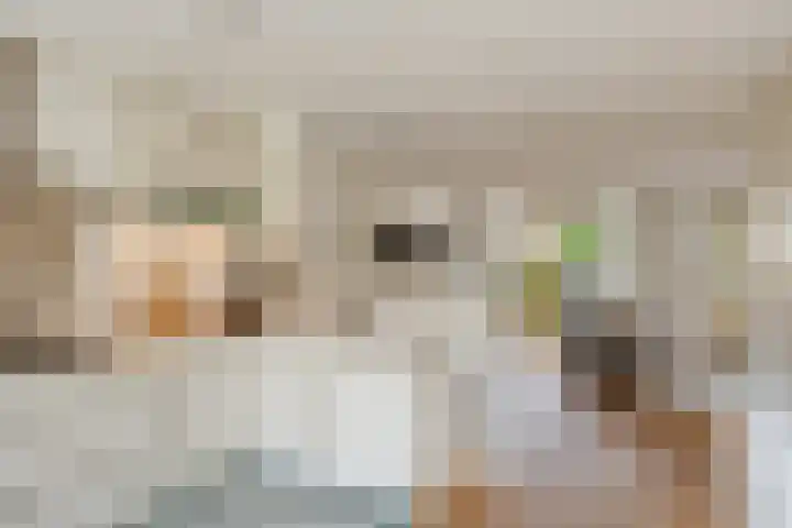 Cornelis de Vriendtstraat 14 Eindhoven thumbnail 11