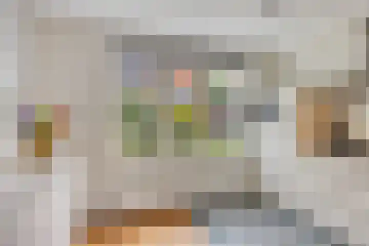 Cornelis de Vriendtstraat 14 Eindhoven thumbnail 13