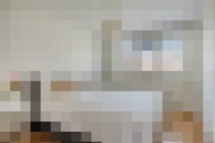 Cornelis de Vriendtstraat 14 Eindhoven thumbnail 15