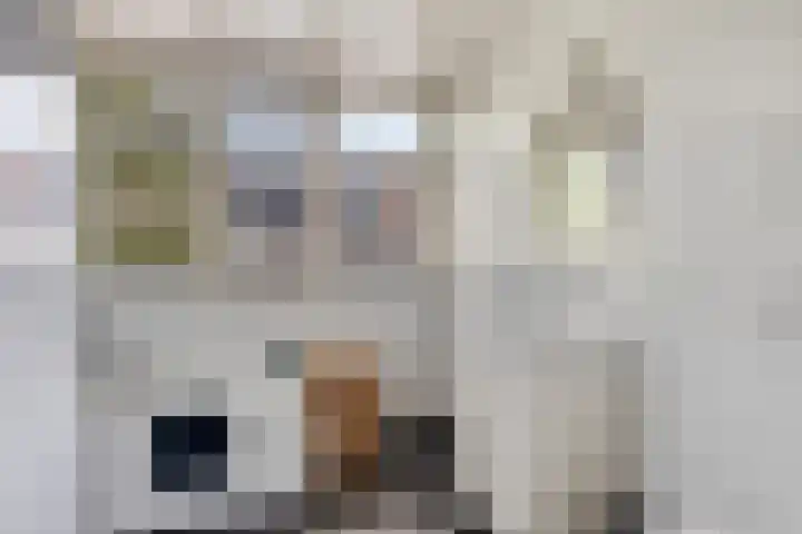 Cornelis de Vriendtstraat 14 Eindhoven thumbnail 19