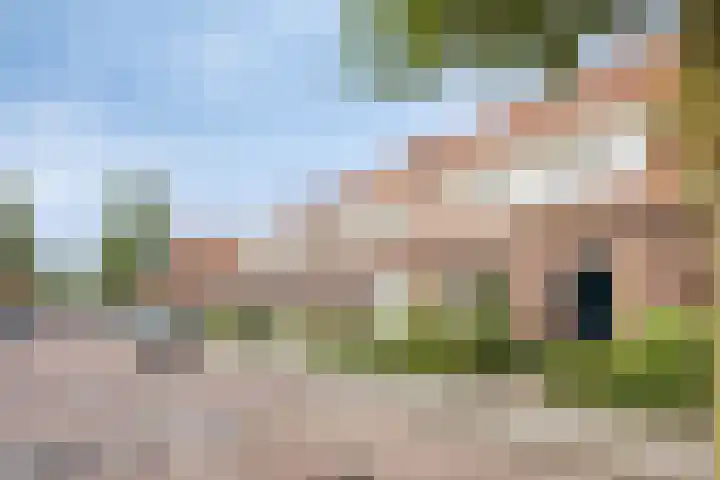 Cornelis de Vriendtstraat 14 Eindhoven thumbnail 31