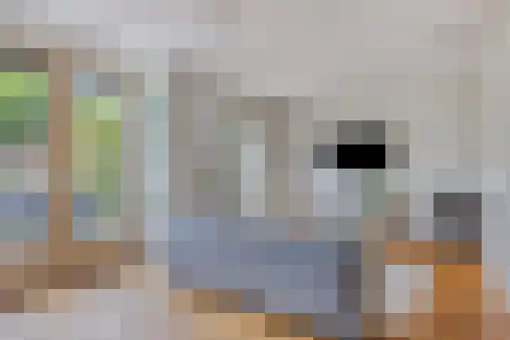 Cornelis de Vriendtstraat 14 Eindhoven thumbnail 7