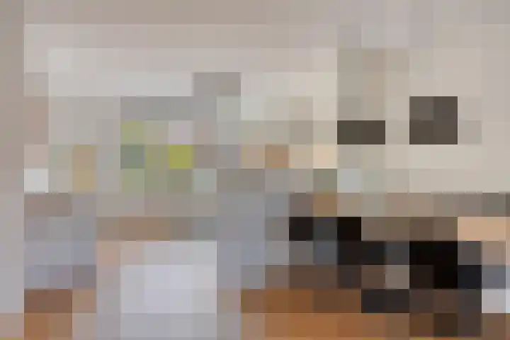 Cornelis de Vriendtstraat 14 Eindhoven thumbnail 8