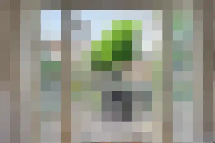 Cornelis de Vriendtstraat 14 Eindhoven thumbnail 9