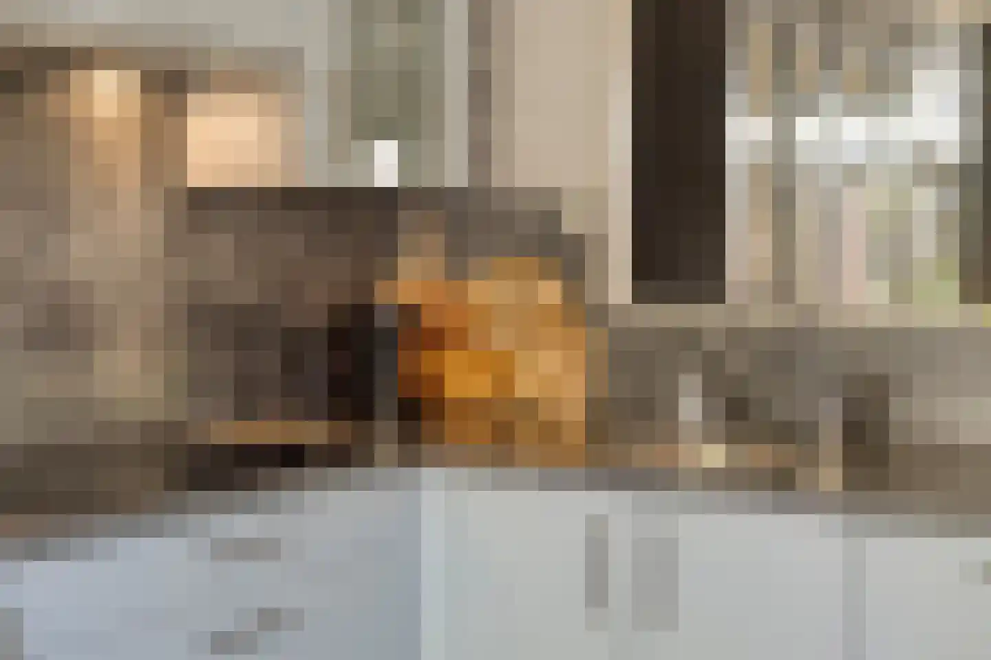 Cornelis de Vriendtstraat 19 Eindhoven thumbnail 18