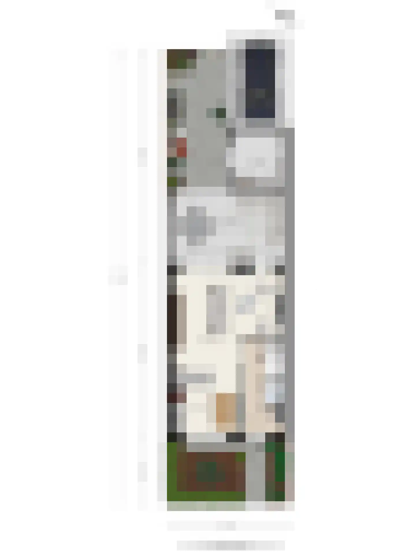 Cornelis de Vriendtstraat 19 Eindhoven thumbnail 43