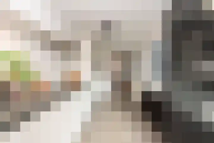 Cornelis de Vriendtstraat 27 Tilburg thumbnail 12