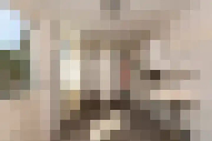 Cornelis de Vriendtstraat 27 Tilburg thumbnail 14