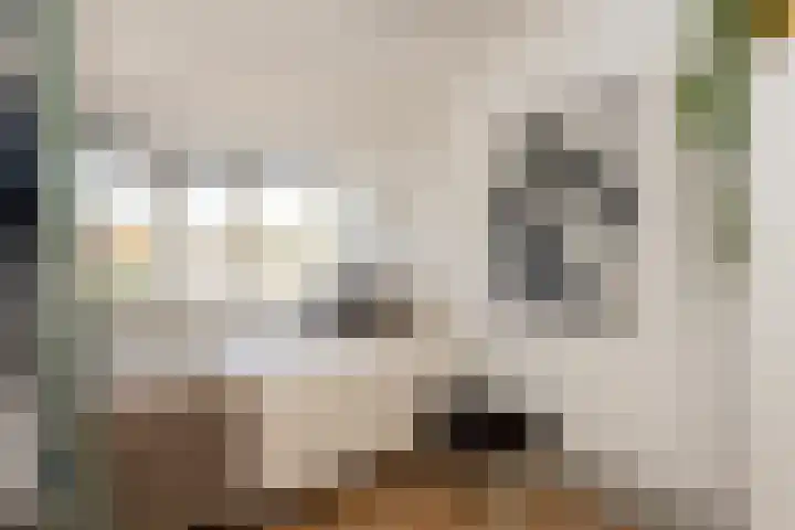 Cornelis de Vriendtstraat 27 Tilburg thumbnail 23
