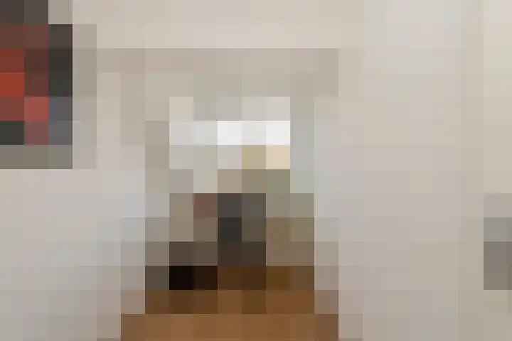 Cornelis de Vriendtstraat 27 Tilburg thumbnail 25