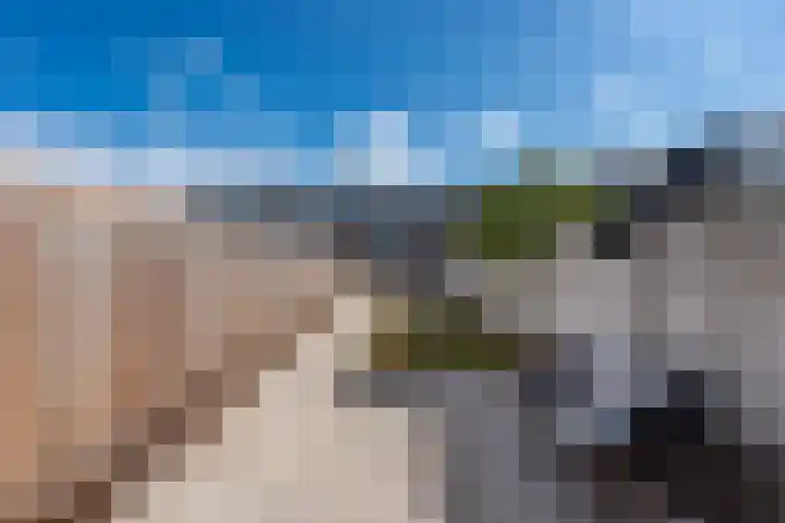 Cornelis de Vriendtstraat 27 Tilburg thumbnail 34