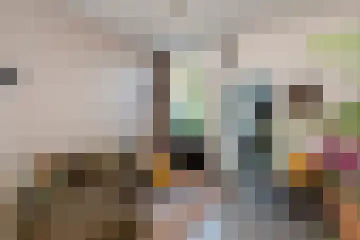 Cornelis de Vriendtstraat 27 Tilburg thumbnail 6