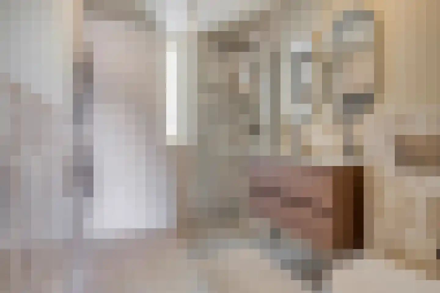 Cornelis de Vriendtstraat 46 Tilburg thumbnail 12