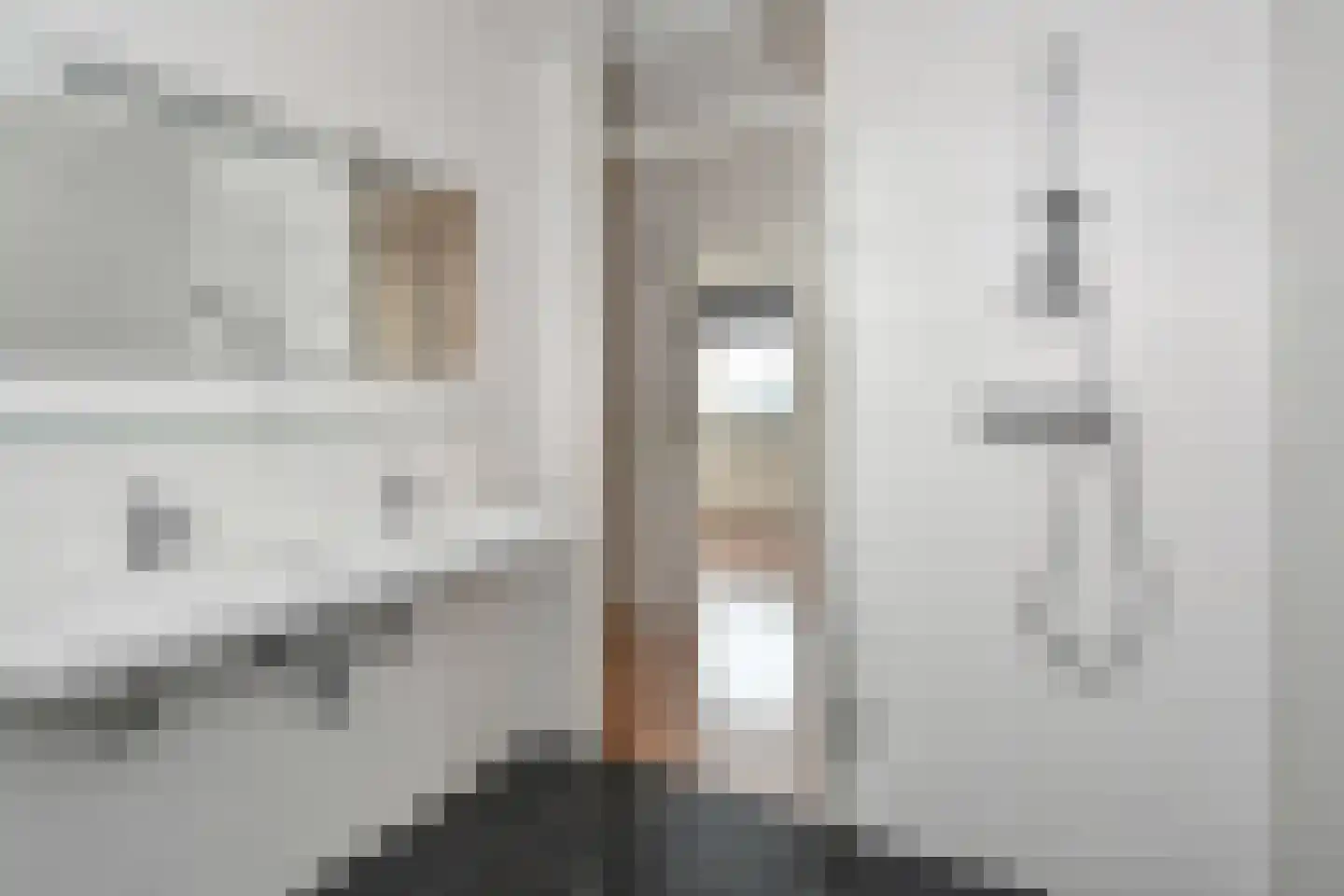 Cornelis de Wittlaan 108 Den Haag thumbnail 22