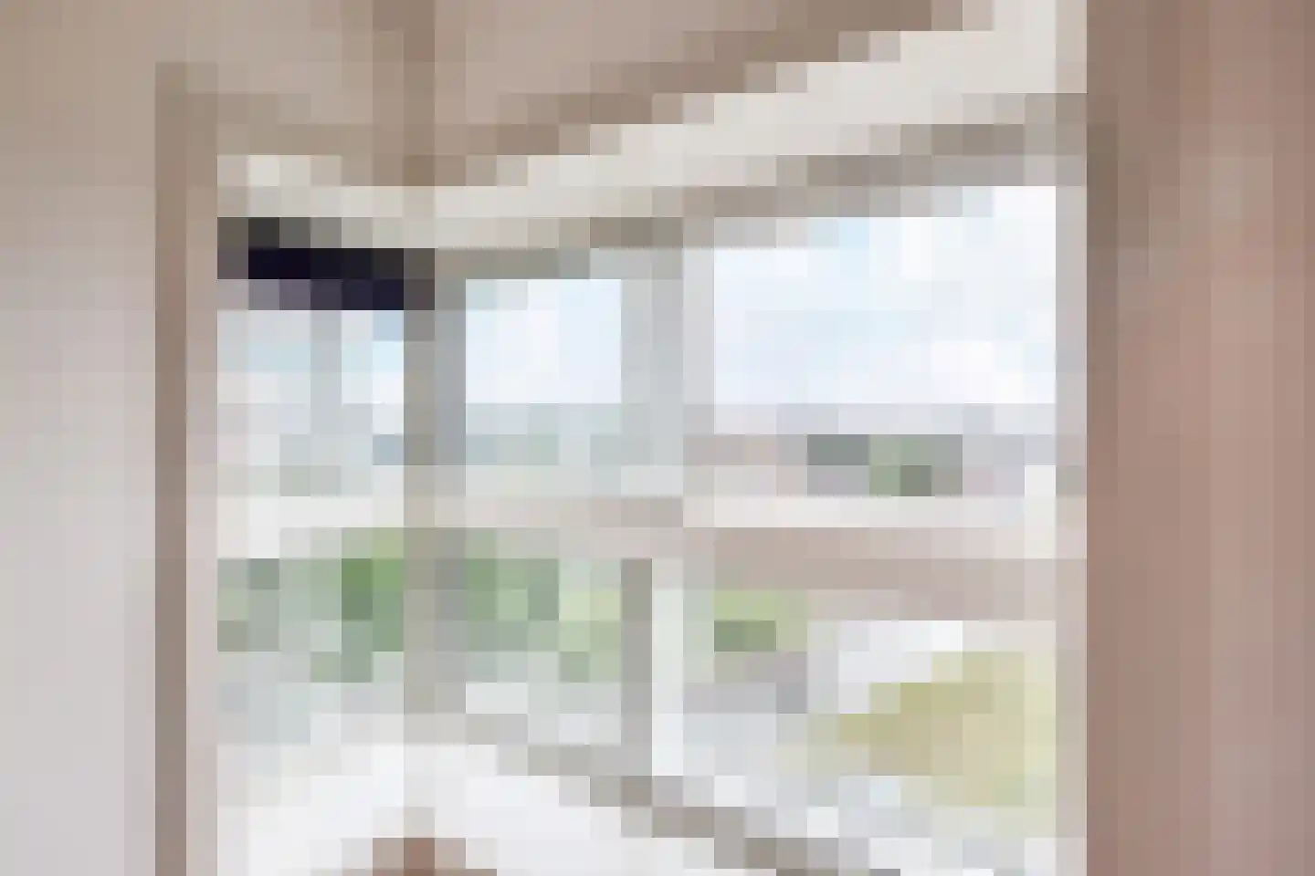 Cornelis de Wittlaan 108 Den Haag thumbnail 9
