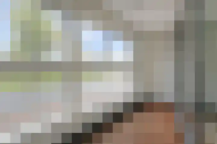 Cornelis de Wittlaan 14 Den Haag thumbnail 10