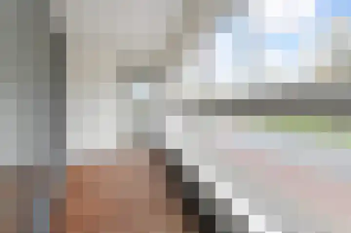 Cornelis de Wittlaan 14 Den Haag thumbnail 11