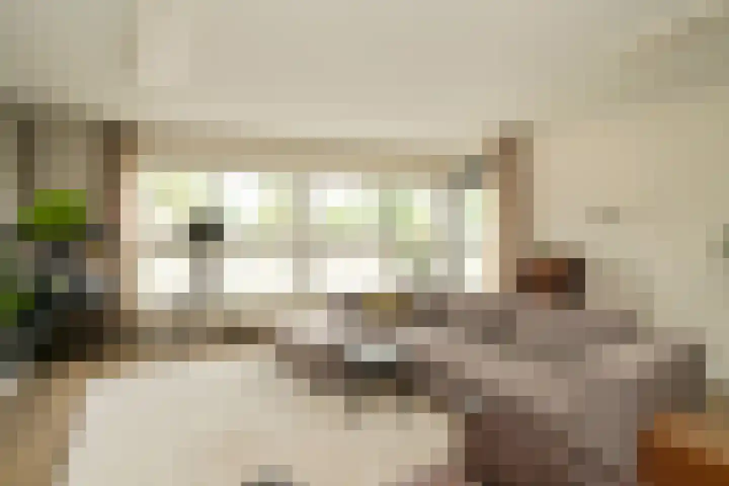 Cornelis de Wittlaan 14 Den Haag thumbnail 11