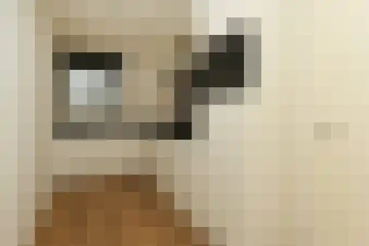 Cornelis de Wittlaan 14 Den Haag thumbnail 12
